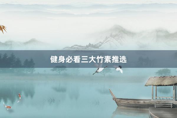 健身必看三大竹素推选